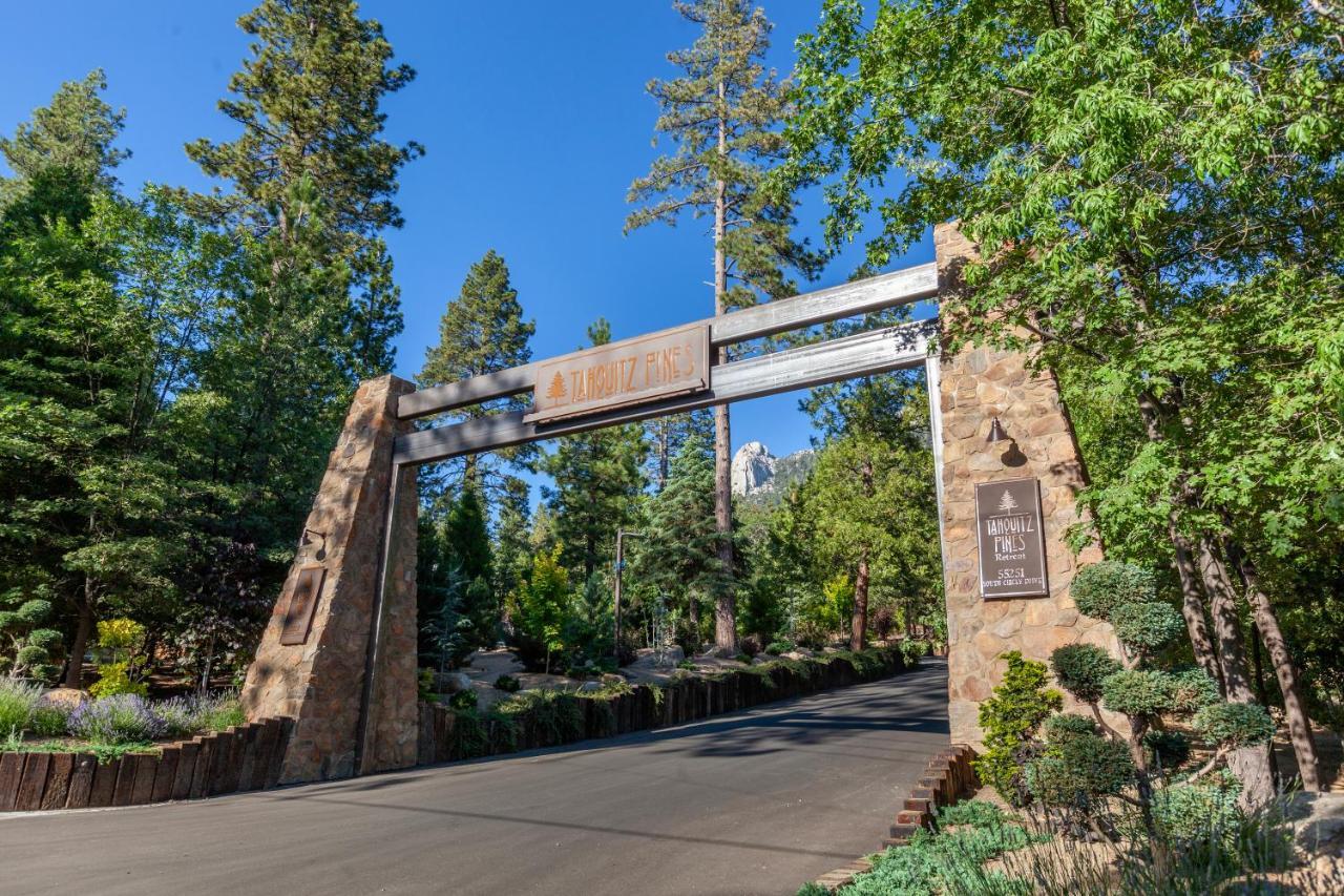 فندق Tahquitz Pines Retreat آيديلوايل المظهر الخارجي الصورة